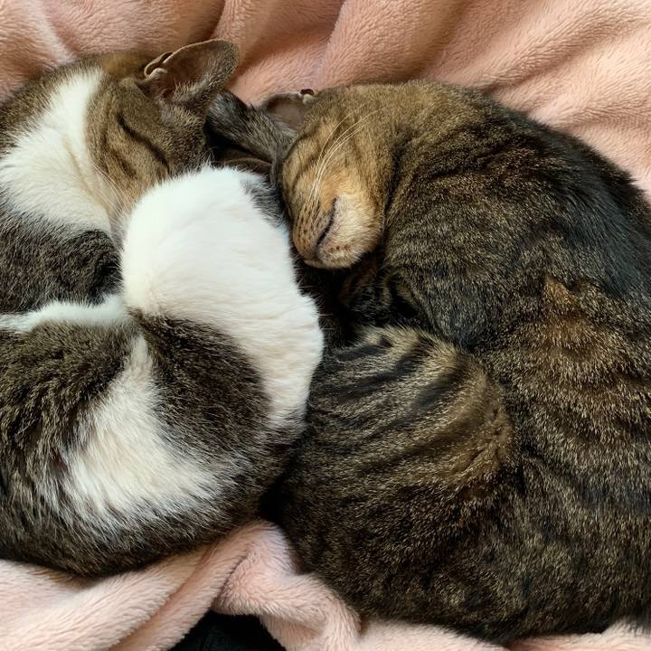 56afd714 8dc6 4d3e bce4 dd3e14364055 1557536588727