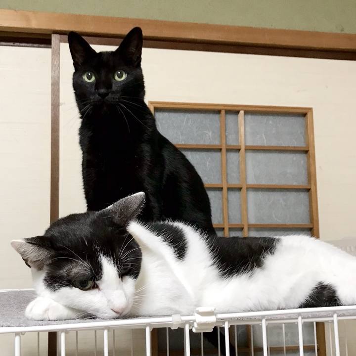 56afd8bb d8b2 4d39 bfb8 b431df6760dd 1535637981004