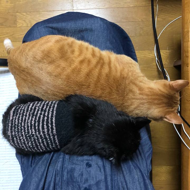 56afd951 b37a 4cf6 ac33 9a512c7339da 1638800003230