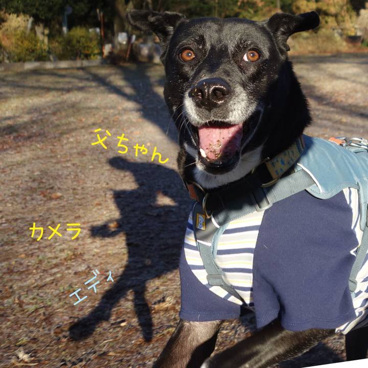 56afda06 a906 4804 90c3 2fd4eb4c7523 1705193820214