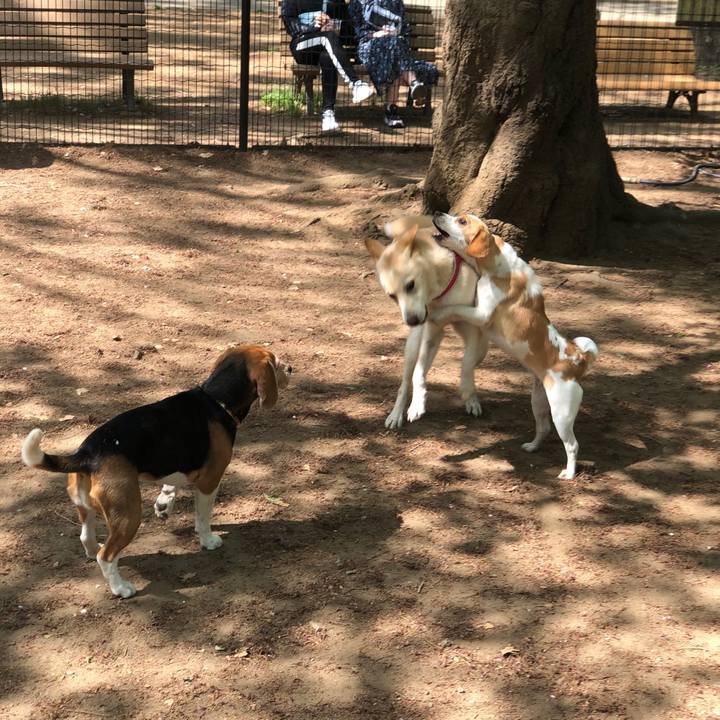 56afe534 d04c 4605 8cb1 1f0d9e5a8b88 1555753581599