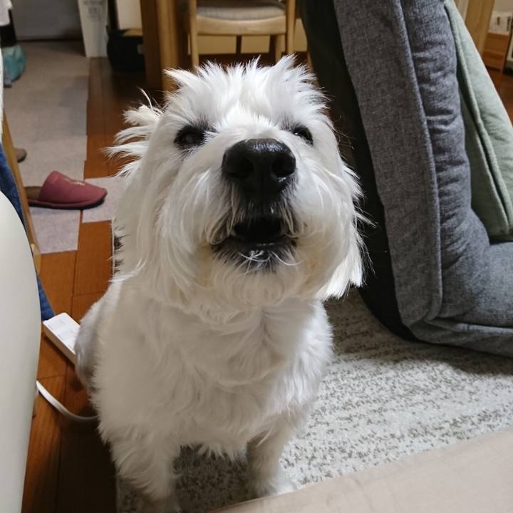 56b0188a 7768 4c35 b7ab 7093c87af98b 1548943498661