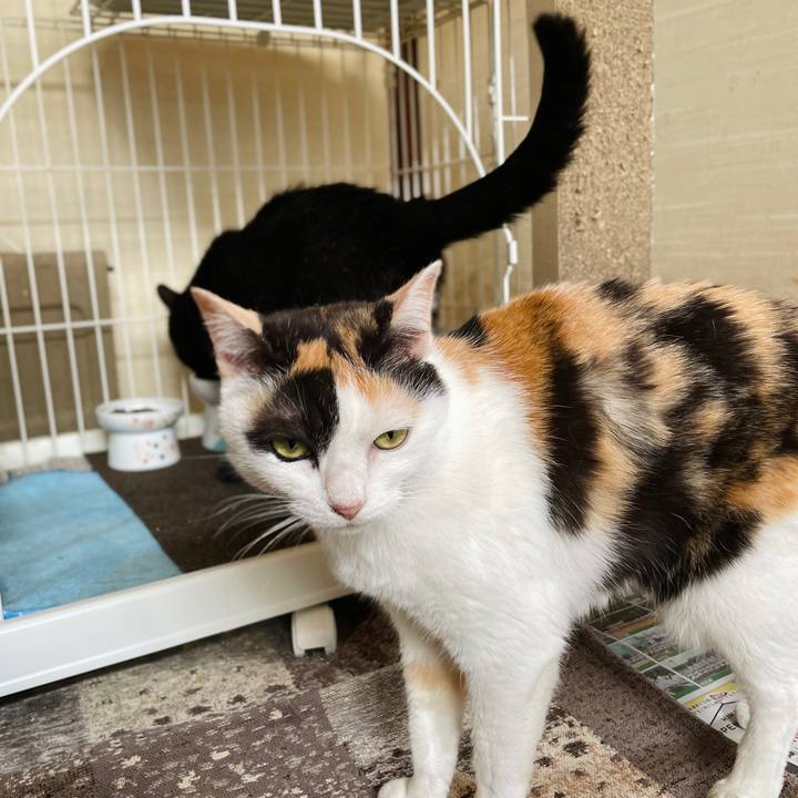 56b028ba 2d0e 4d91 8560 561b9f845f86 1659238755101