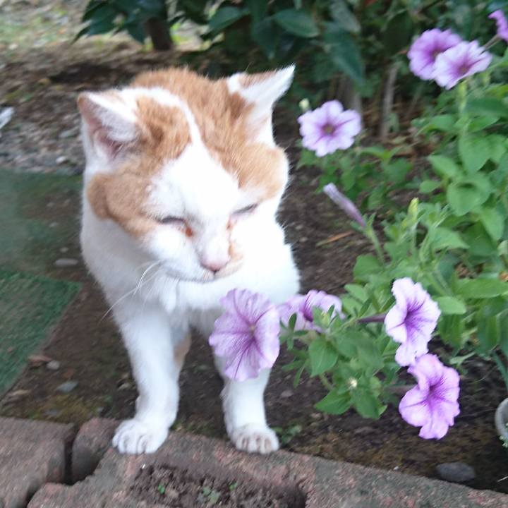 56b03838 3a6e 455f 87a6 627545bbd5d0 1566211238163