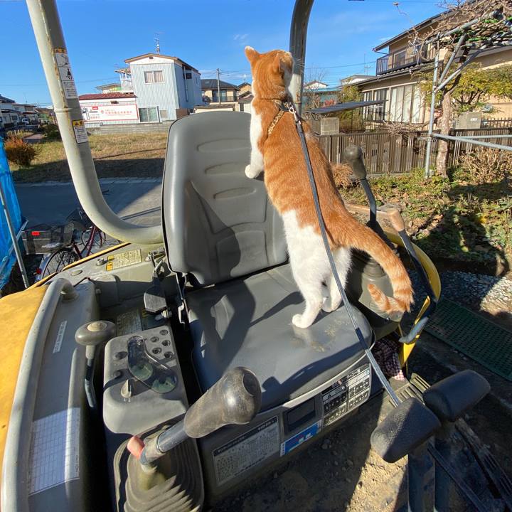 56b0826e 14cd 4c86 8e67 6763d0d0a17d 1606308397094