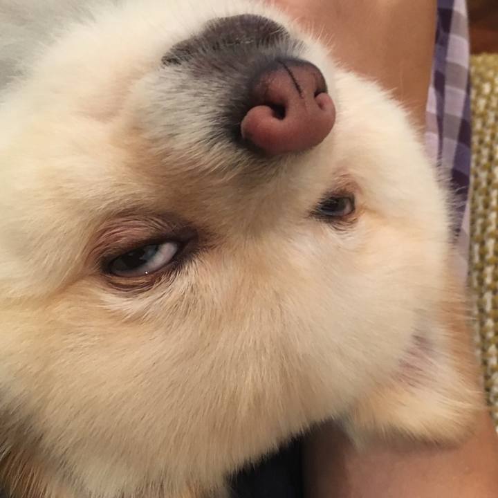 56b0ab48 e48e 4f23 8faf db913c34893c 1562414924417