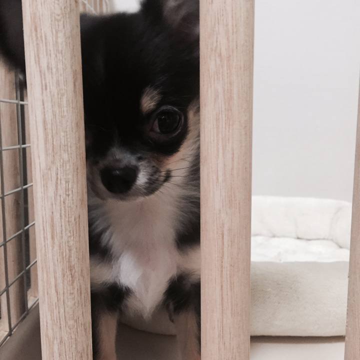 56b0d40b ad03 41bf b107 318bc7d98aca 1509721434933