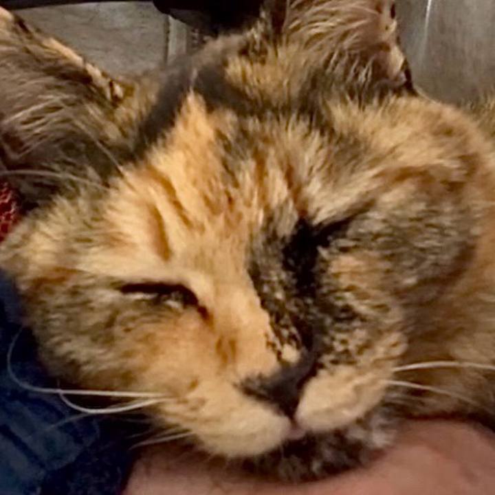 56b0d432 c615 4727 8146 13de9a3bd3ac 1763440643056