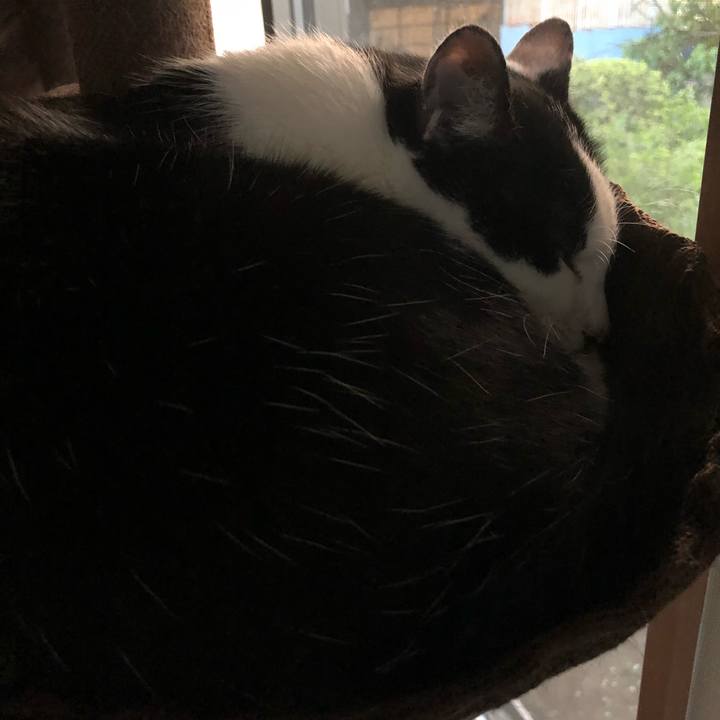 56b0da28 2acf 4f28 8154 4c29c462d0de 1558518045342