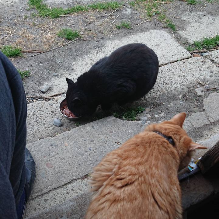 56b10707 6220 401c a73e bf82a63b93ab 1650532365640