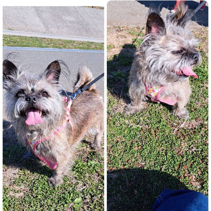 56b135db 931c 4a44 af54 3d3f5caca505 1710368281548