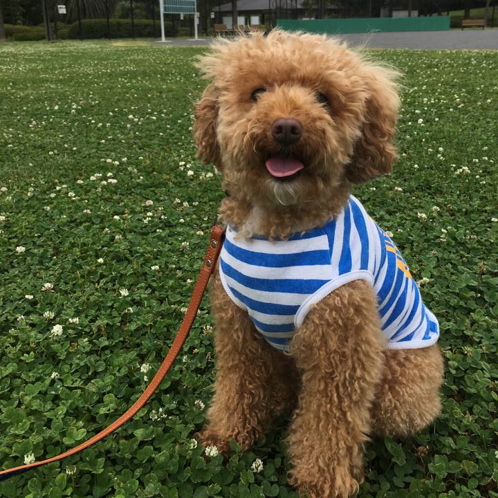 56b14cda 55ad 4638 8ecf 0da71dd88a2f 1530756822664