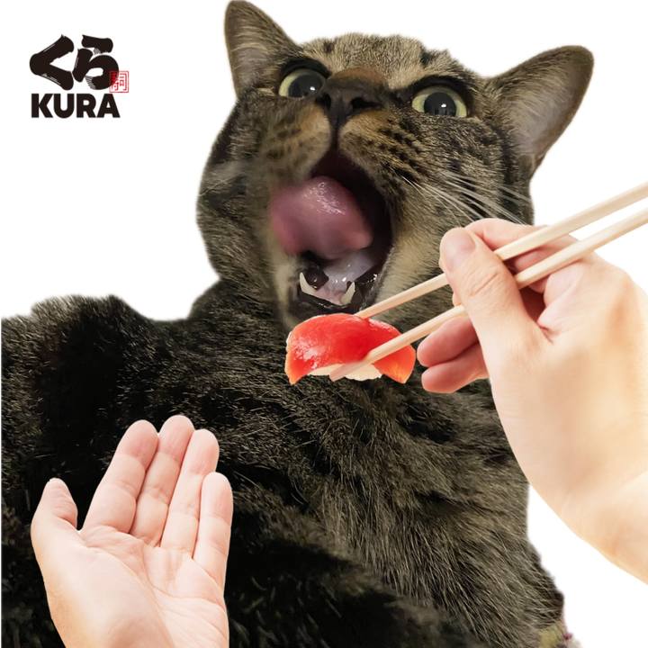 56b1c4fc a1e2 46a6 8743 6f8c82cc90d3 1728014562547