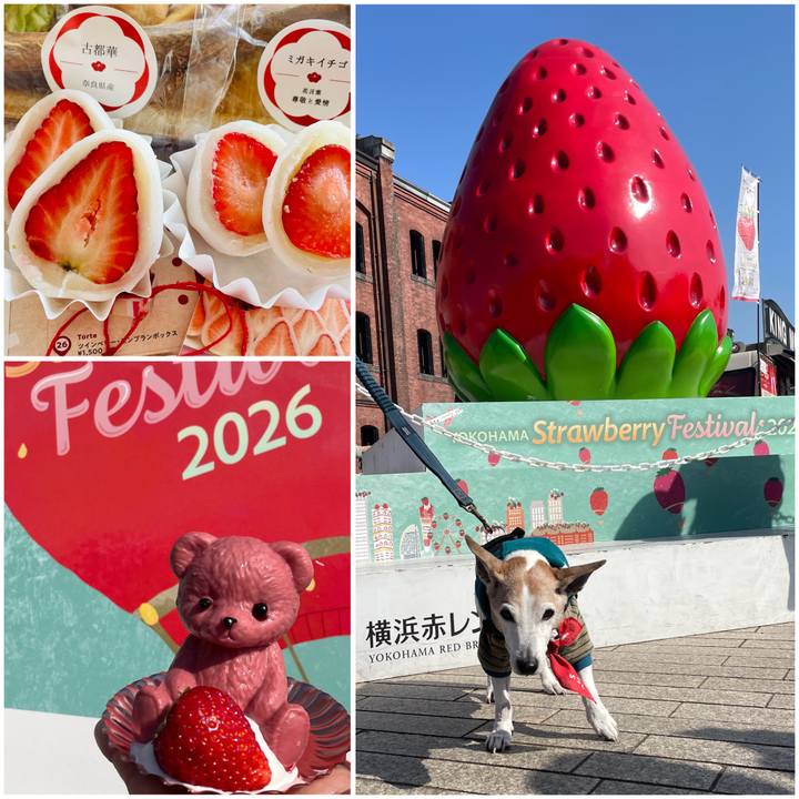 56b1c6b7 0238 487c b2be c7920728d190 1771476232069