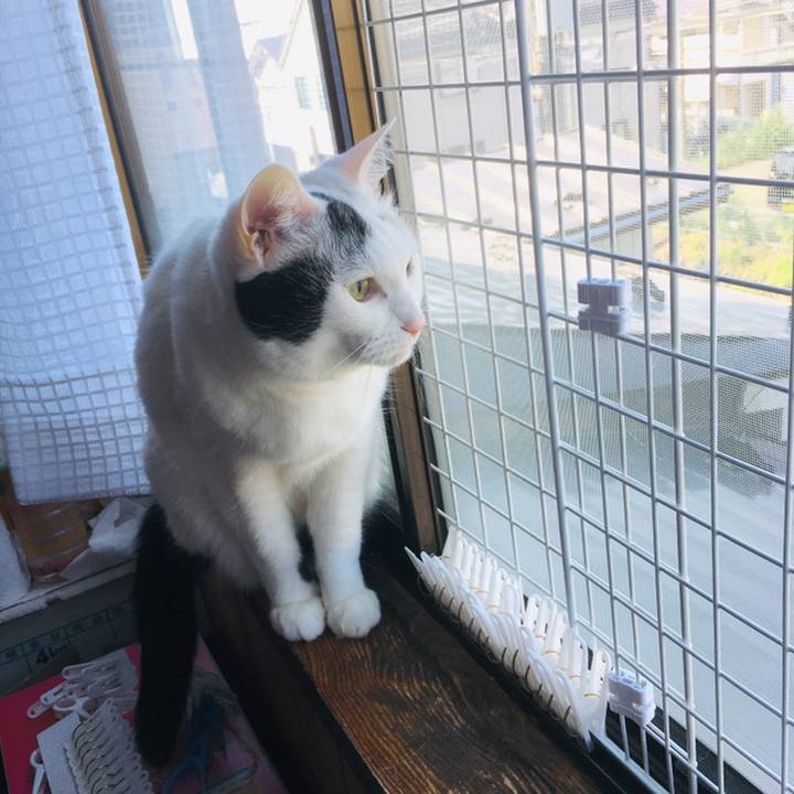 56b1f1ff cc25 4f67 aa8f 1f15e3a208c3 1558738309640