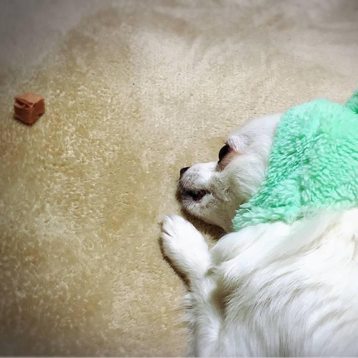 56b202fd b565 4b4b 851e 2459a5410660 1515960970332