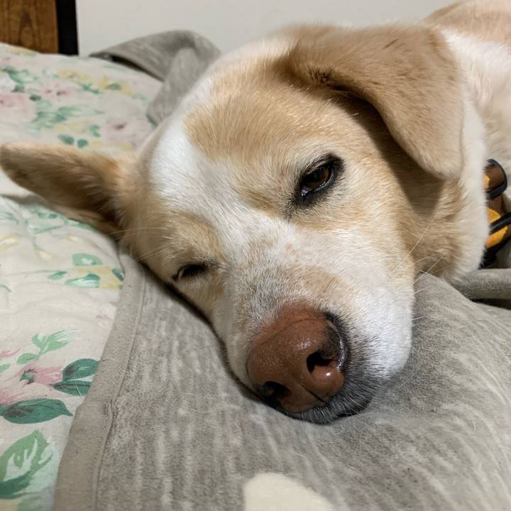 56b232fb b12b 4c38 b5c2 6f05a81e08c4 1584024328889