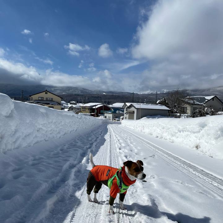 56b289d2 cc88 4b26 b7cf 654851f5b62f 1643494055191