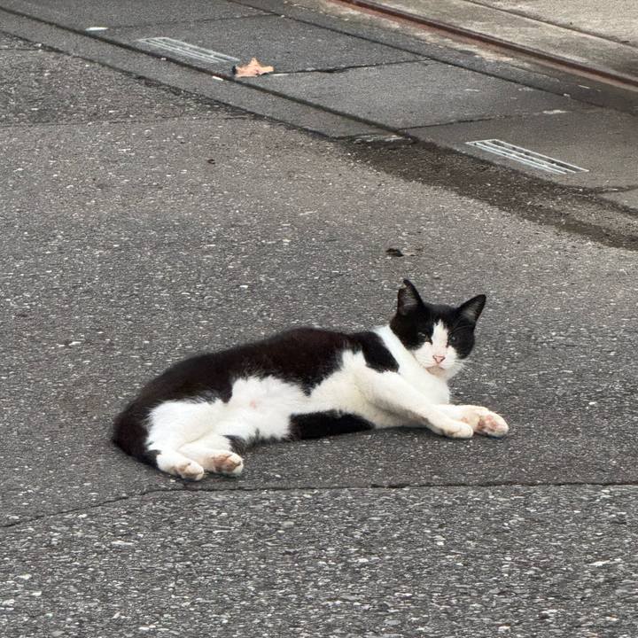 56b29572 4c1c 4451 82a4 a093402aa2aa 1755569911867