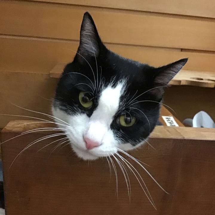 56b29ef8 acab 4e05 b9e8 0aea59da082e 1691919382311