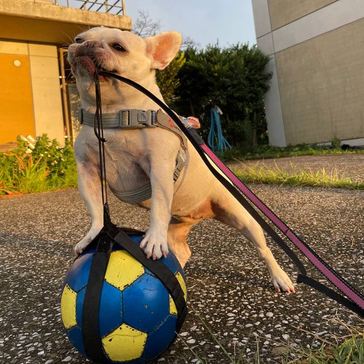 56b2e0b8 0ee7 49fe af85 0e9a91d73e79 1757112465649