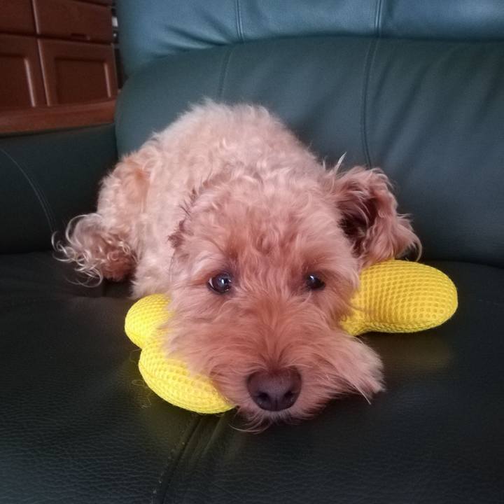 56b323b1 b754 4955 9cd1 168d303db58e 1536706059624