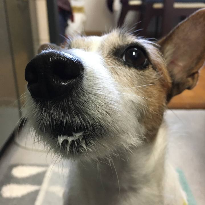 56b336ab fca4 4a51 9d84 30efe6210fbf 1604964596724