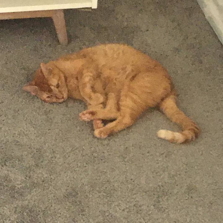 56b33e55 bdac 44a9 90a2 080cb47ba489 1659892949476