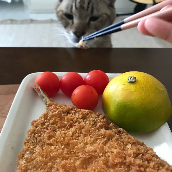 56b34d22 260f 4e60 a0b4 221445c731ea 1590740834042