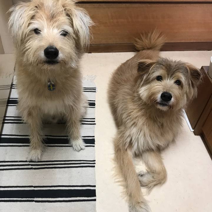 56b359fd 427c 4ac7 8235 eb9993f6a351 1541373162369