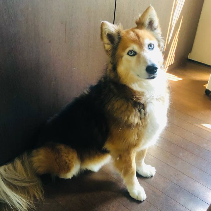 56b35f84 a899 4969 a3ad 0e3d5eb3a478 1685097976954