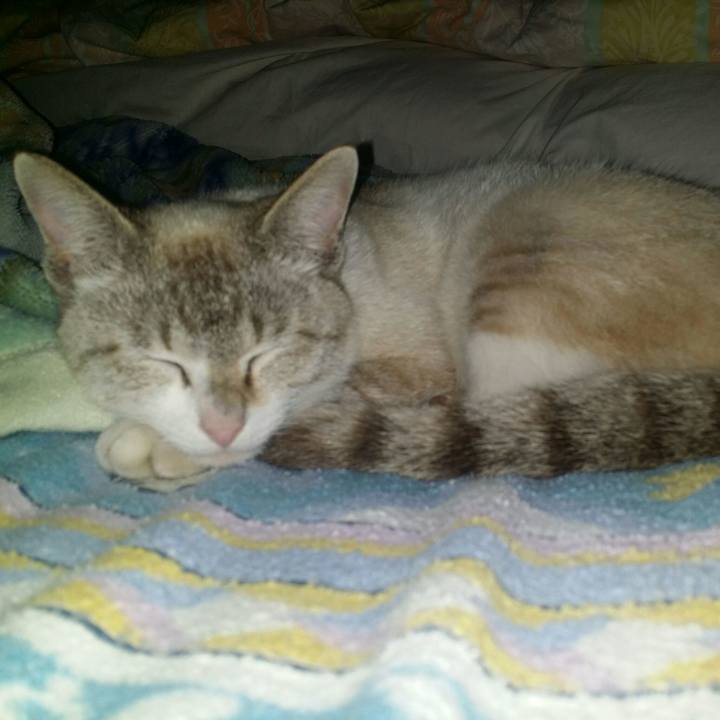 56b3600a cd10 4fee b485 a9680106c8bc 1524321805102