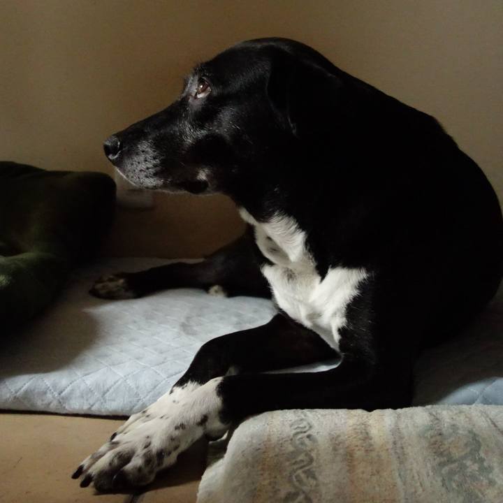 56b38074 2aeb 44c8 9098 aff77da0c9f4 1750722188282