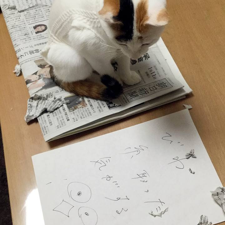 56b3ae10 c7bc 4e54 b0ce 7e0b02c44da8 1547530413633