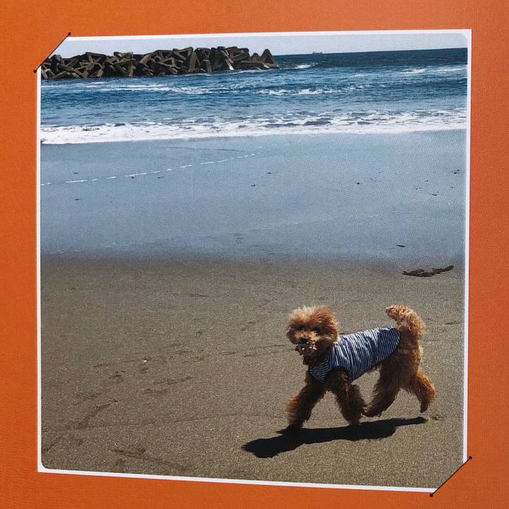 56b3aedc 2137 4525 b628 fea730e8e666 1593742034889