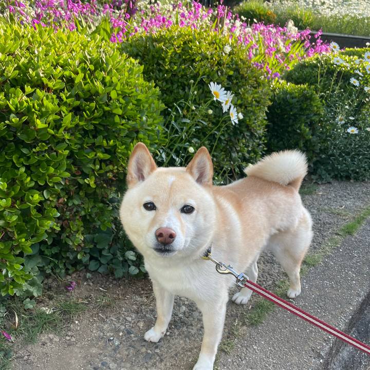 56b3f065 64b5 42f8 b66e 86e70610ea8b 1683065255026