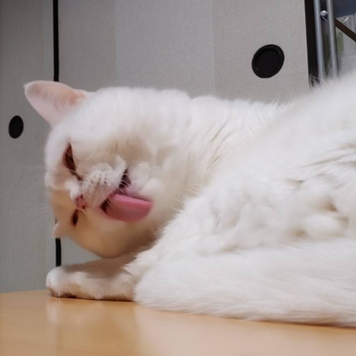 56b428d9 8c29 4ee9 bba5 21e19a1297d1 1663413547499