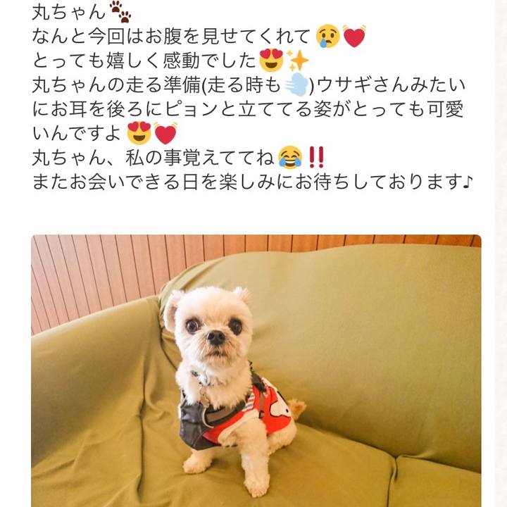 56b46168 057d 4ddc 98c3 7d3d438a4a3f 1574567530523