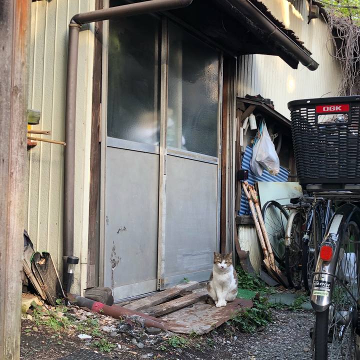 56b47644 5ed0 4226 9825 a6e7062f9edd 1528550066121