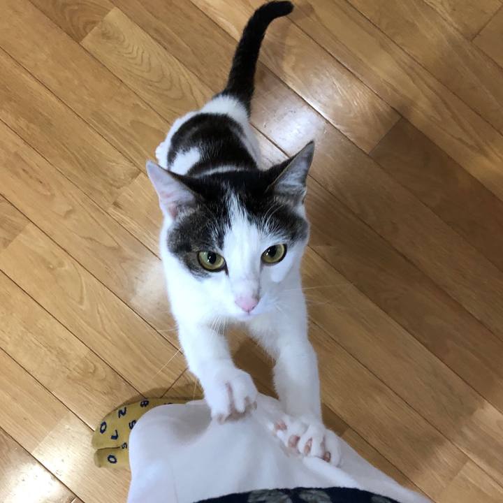 56b4a665 c87b 4129 8faf bd730d942f9d 1621946652234