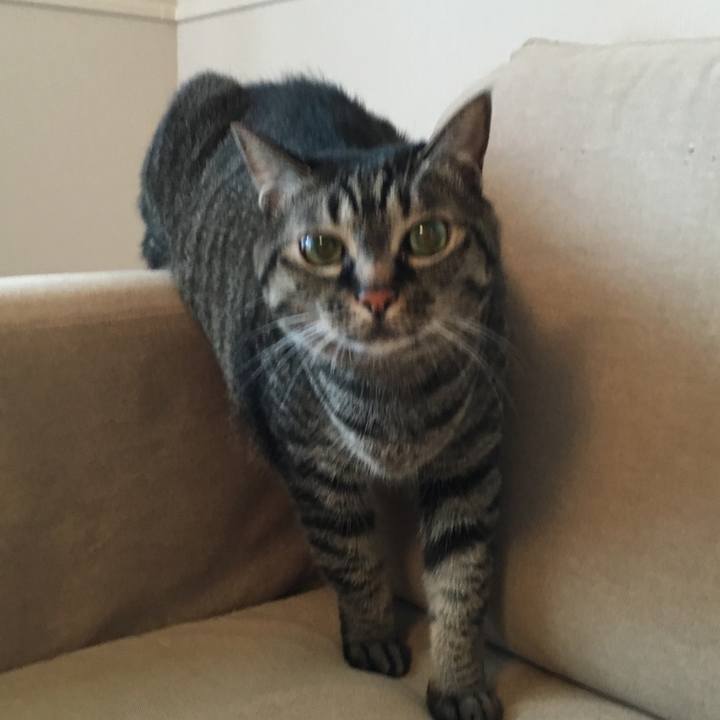 56b51edd da9d 4efc 857e 4af0c36d3675 1561942749023