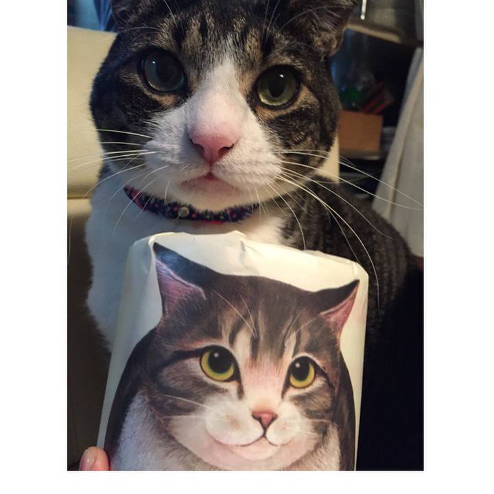 56b52124 a990 478c 9f82 41ed7832f137 1519143544637