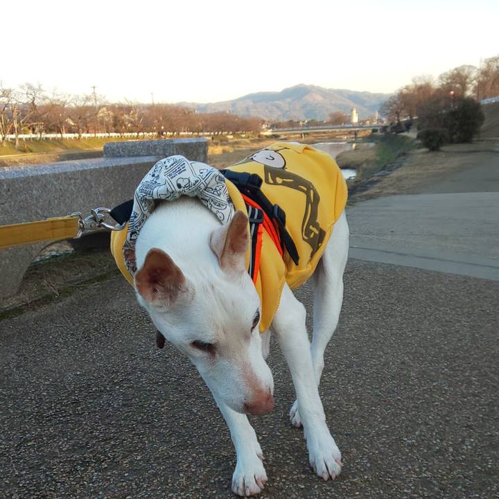 56b5424a ff11 4db1 ab60 3c37f6d13348 1578731463108