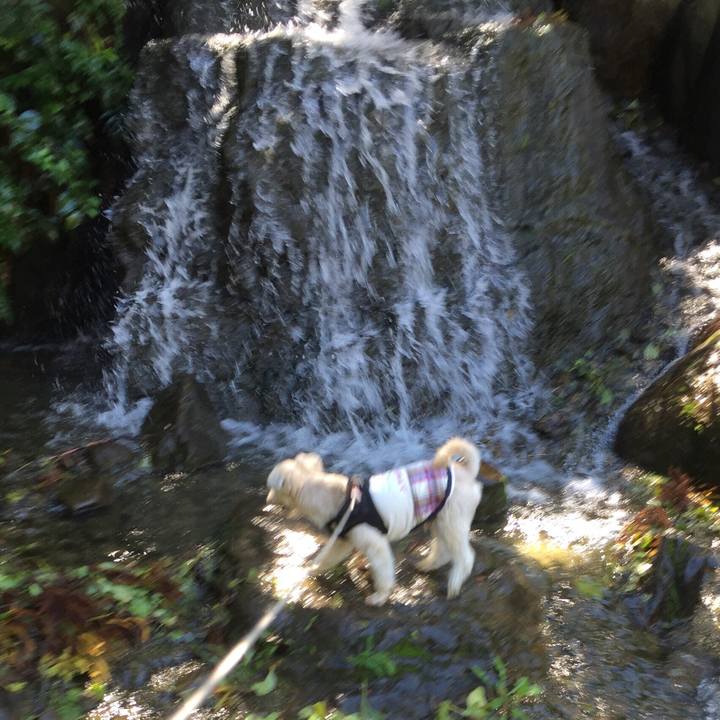 56b5577a fc26 4b14 ab86 c481f65d9ffe 1538896405925