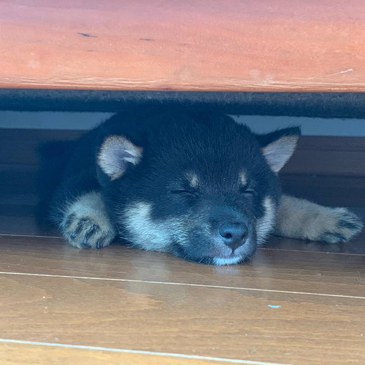 56b56db2 0c7f 4690 9187 60132f0da1f6 1598200728786