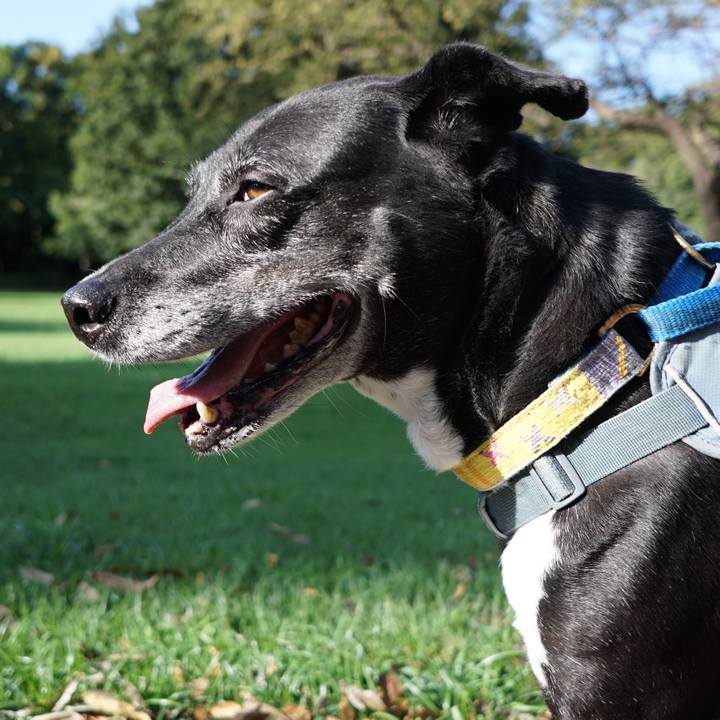 56b58874 9e1d 48dc 95f9 44a9b7dd5d89 1758502401351