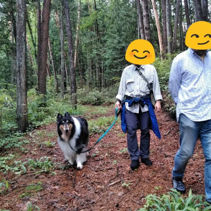 56b60bc6 86b9 4dbe 891a b9d1be51bc3d 1563201778587