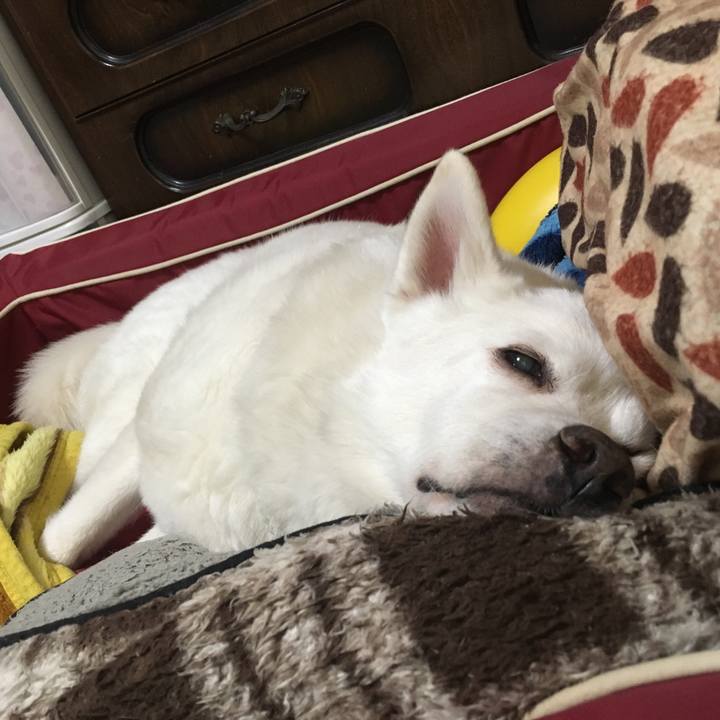 56b632e5 8bfb 4d00 bc32 daef8afde0bc 1525337775969