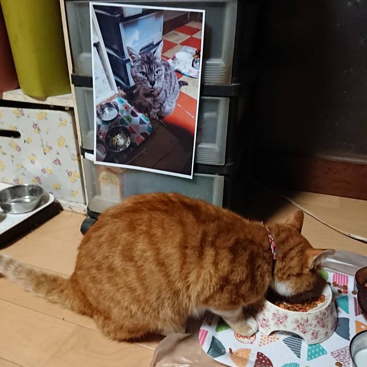 56b66f62 5878 4677 b22f d1d535ae005c 1601067041781