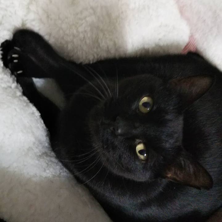 56b6be74 a383 4228 be7d c6a8a1ce032a 1609392631085